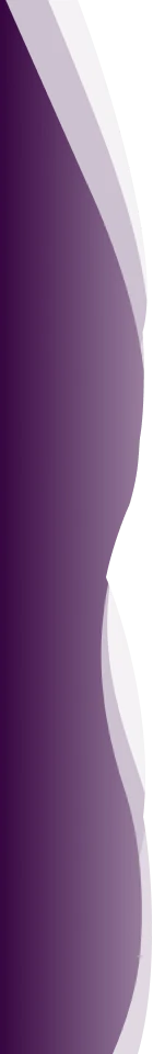 transparent purple wave divider